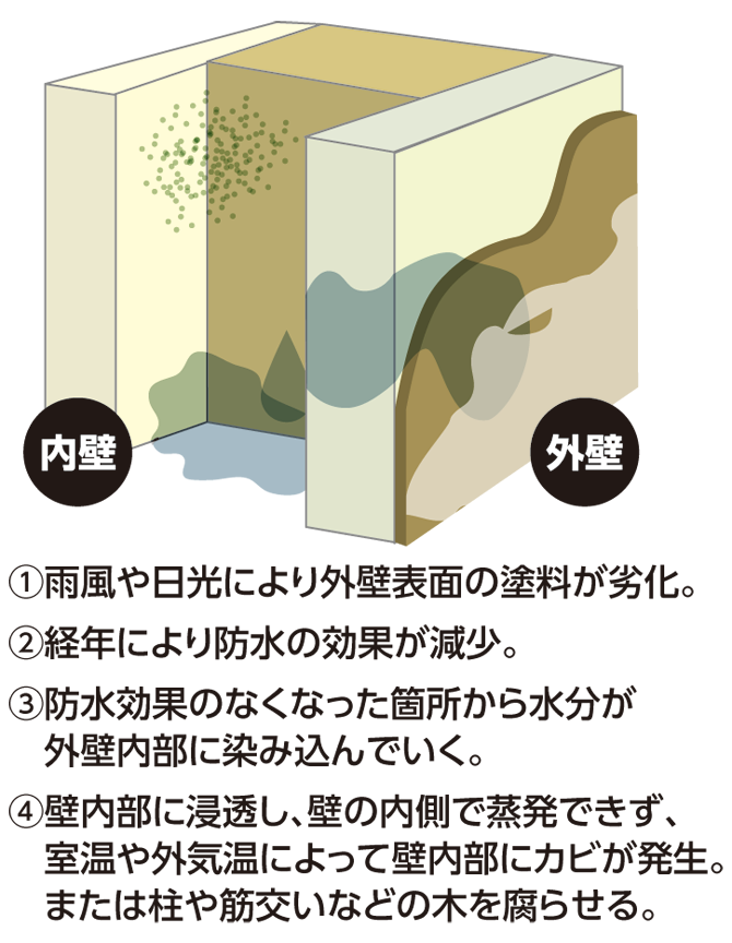 乙川流域の湿気・防カビ対策外壁塗装|岡崎市