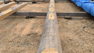 手刻みも順調・・・