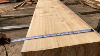 製材・・・巨大木