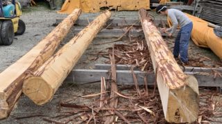 この時期が一番