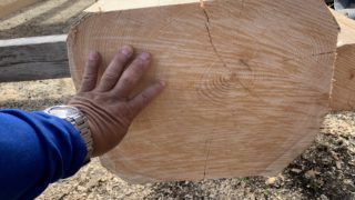 小屋組み・・・桧の野物