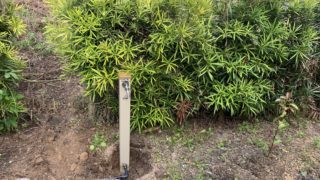 せっかく整体に行ったのに・・・腰が腕が！