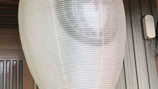 今日からお盆休み