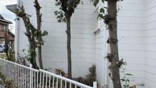 頼まれると・・・やります