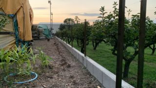 何事も経験・・・2