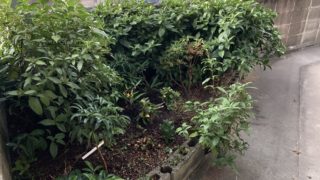 これで、億万長者！