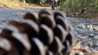 2022年2月1日・・・旧暦1月1日です