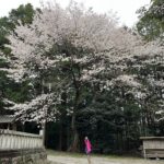 一日参り