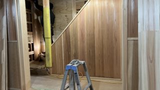 木の表情にもいろいろで