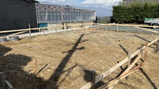 いよいよ始まります。