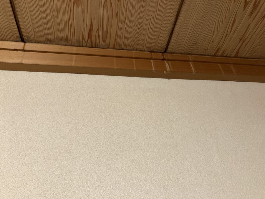 岡崎市の住宅の天井にできた雨漏りのシミ