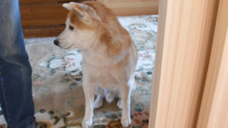 ご依頼工事、エコキュートの取り換え